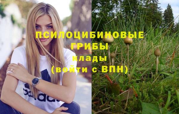 mix Баксан