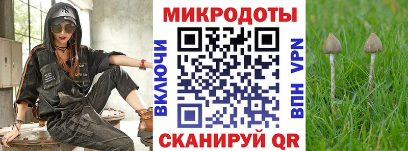 Псилоцибиновые грибы мицелий  где можно купить   Троицк 